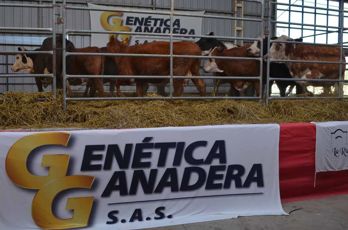 remate hacienda