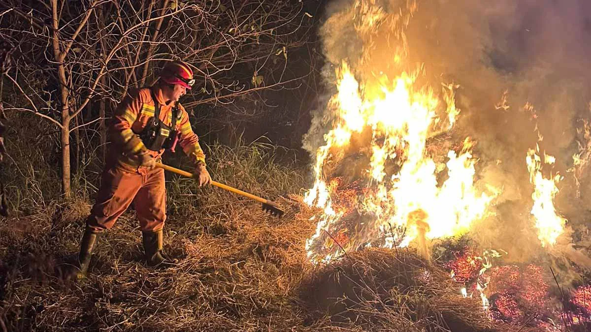 incendio-rollos